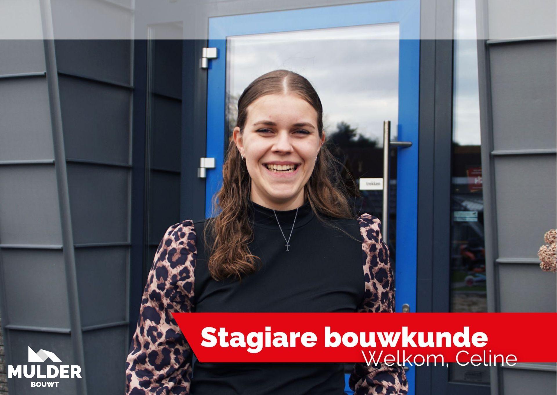 Stage bouwkunde